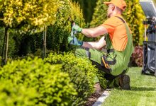 Transforming Spaces with Professional Commercial Landscape Services