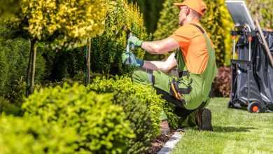 Transforming Spaces with Professional Commercial Landscape Services